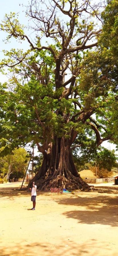 Villa Nemocotier Cap Skirring Εξωτερικό φωτογραφία
